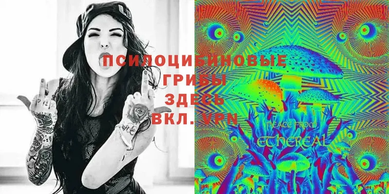 Псилоцибиновые грибы прущие грибы  купить закладку  сайты даркнета формула  Каргат 